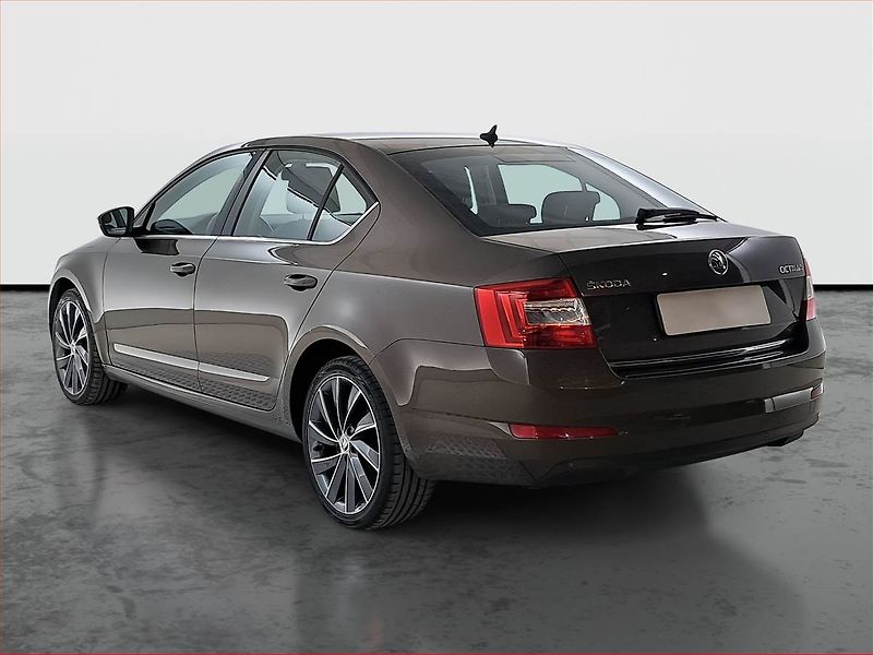 Škoda Octavia (2014) Elegance 1.4 TSI, Kůže - fotka 4 z 20
