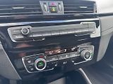 BMW X2 (2022) 4X4 25E 1,5i 162KW ZÁRUKA DPH - náhled 30