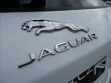 Jaguar F-Pace 2,0 D200 S,1.maj,ČR,DPH - náhled 34