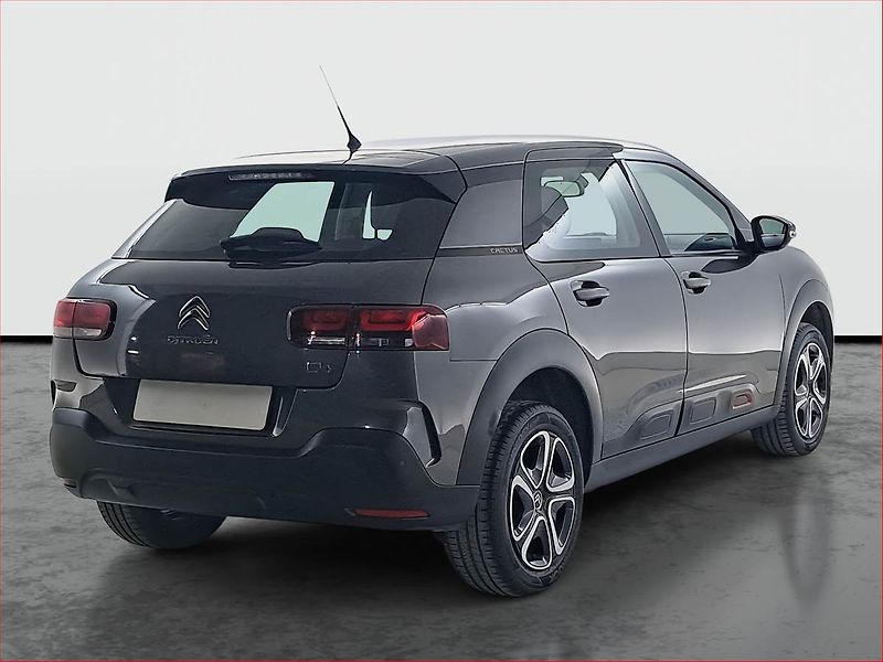 Citroën C4 Cactus (2020) 1.2 PureTech, ČR,1.maj - fotka 5 z 17