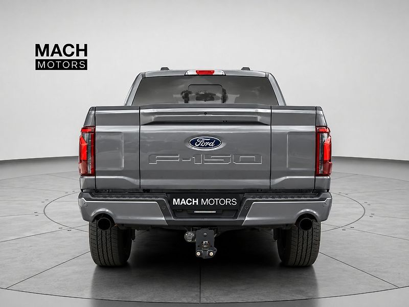 Ford F-150 (2025) Lariat 5,0 298 kW - fotka 3 z 10