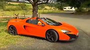 Oslík si možná oranžový McLaren spletl s mrkví...
