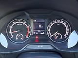 Škoda Octavia (2019) Ambition 1,5TSi 110kW - náhled 16