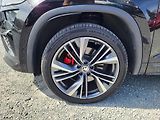 Škoda Kodiaq 2.0 TSI 180kW RS Challenge 4x4 - náhled 36