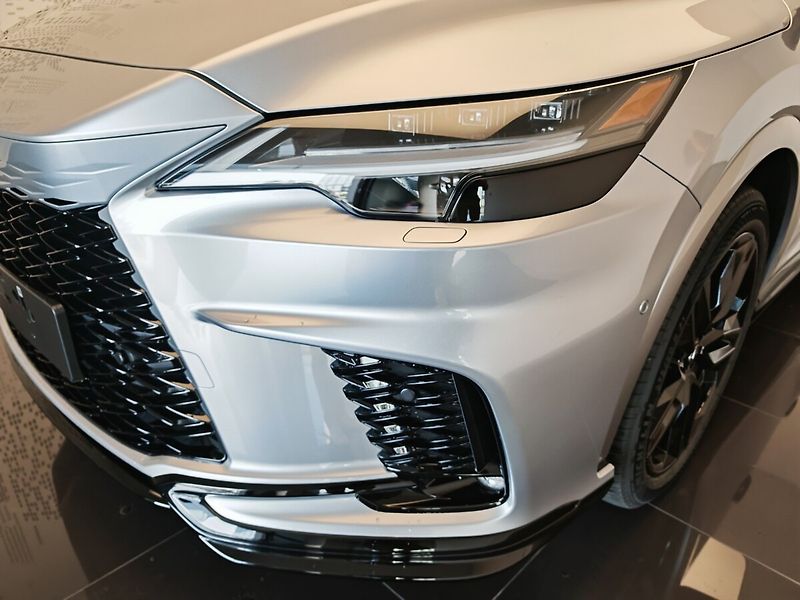 Lexus RX 500h 500h F Sport Special Edition - fotka 5 z 43