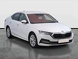 Škoda Octavia (2023) 2.0 TDI, ČR,1.maj, Kůže - náhled 1