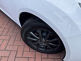Ford Focus (2016) 1.6i Ti-VCT Klima Winter Paket - náhled 46