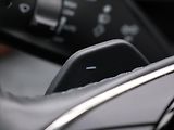 Škoda Kodiaq 2,0 TDI 142 kW Excl. 4x4 DSG D - náhled 22