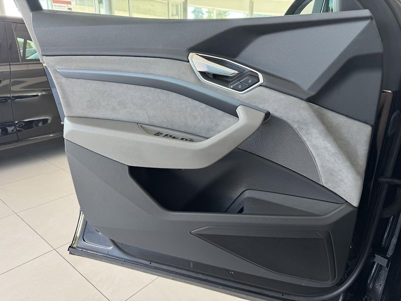 Audi e-tron 55 Quattro*300kW*NočníVidění - fotka 28 z 35