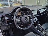 Škoda Kodiaq 2.0 TDI 147kW L&K 4x4 DSG, ČR - náhled 20