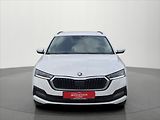 Škoda Octavia 2,0 TDi 110 Kw DSG Amb+ ČR DPH - náhled 1
