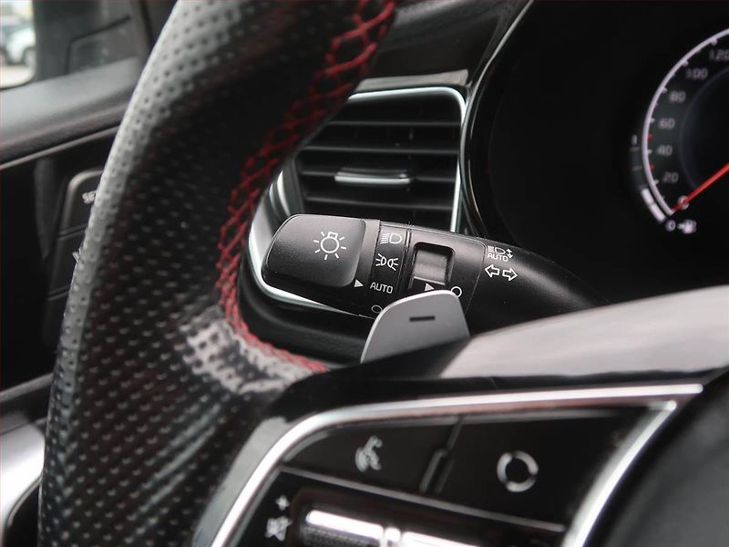 Kia Pro_Ceed (2020) GT 1.6 T-GDI, Automat - fotka 17 z 18