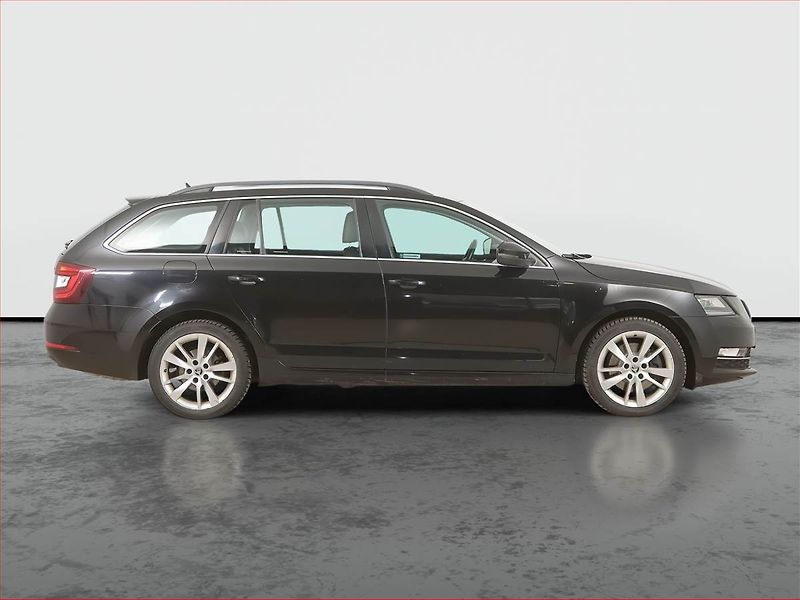 Škoda Octavia (2019) Style Plus 2.0 TSI, 4X4 - fotka 6 z 16