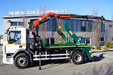 DAF LF (2015) 18.310 E6 / Skip loader Fornal - náhled 2