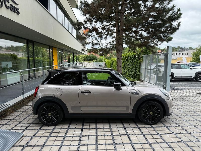 Mini Ostatní (2021) REZERVACE - fotka 35 z 36
