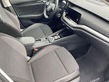 Škoda Octavia (2024) 1.5 TSI M-HEV DSG Ambition - náhled 10