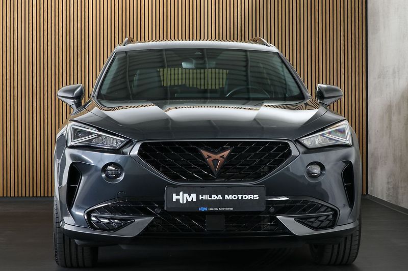 Cupra Formentor 2.0TDI 110kW DSG 4x4 Pano Tažn - fotka 5 z 36