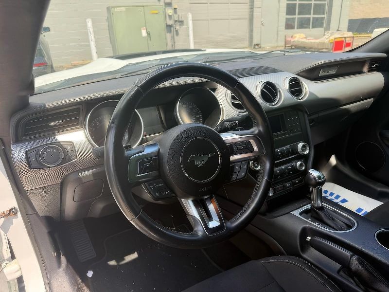 Ford Mustang (2019) Auto na cestě - fotka 9 z 9