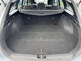 Kia Ceed (2023) FRESH 1.5T-GDI 118kW CZ DPH - náhled 6