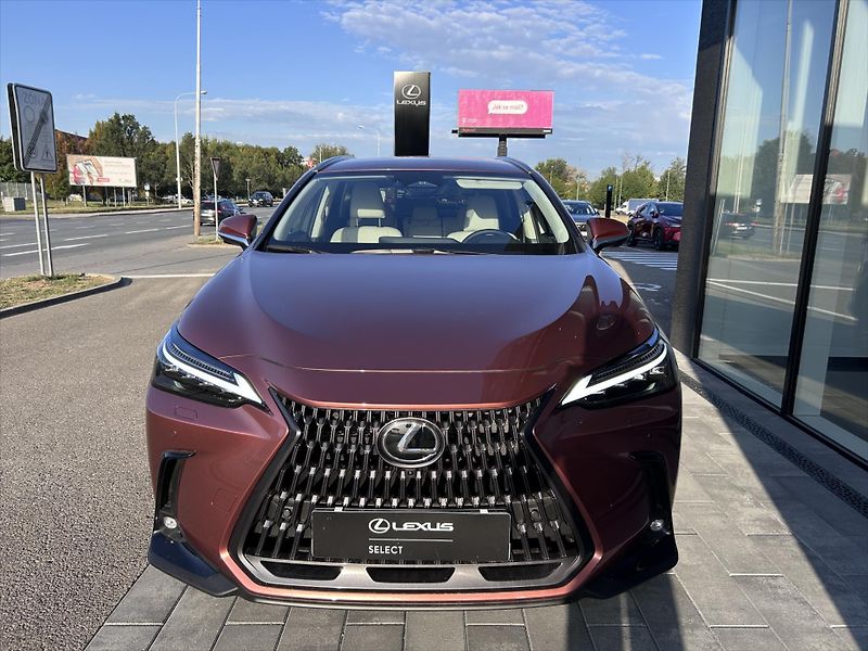 Lexus NX 350h 2.5  4V Luxury - fotka 7 z 11