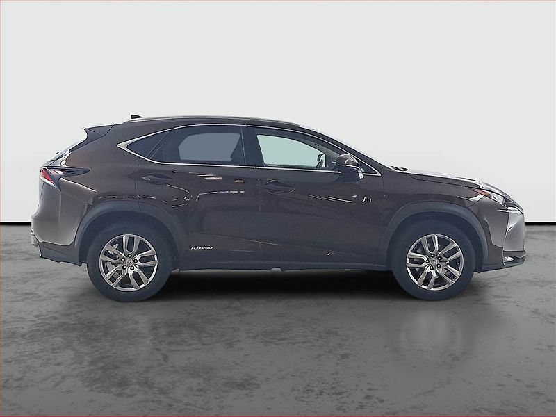 Lexus NX 300h (2016) 300h - fotka 6 z 17