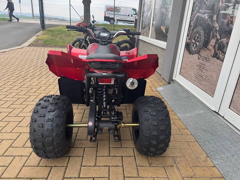 Linhai (2026) ATV 110 - fotka 4 z 6