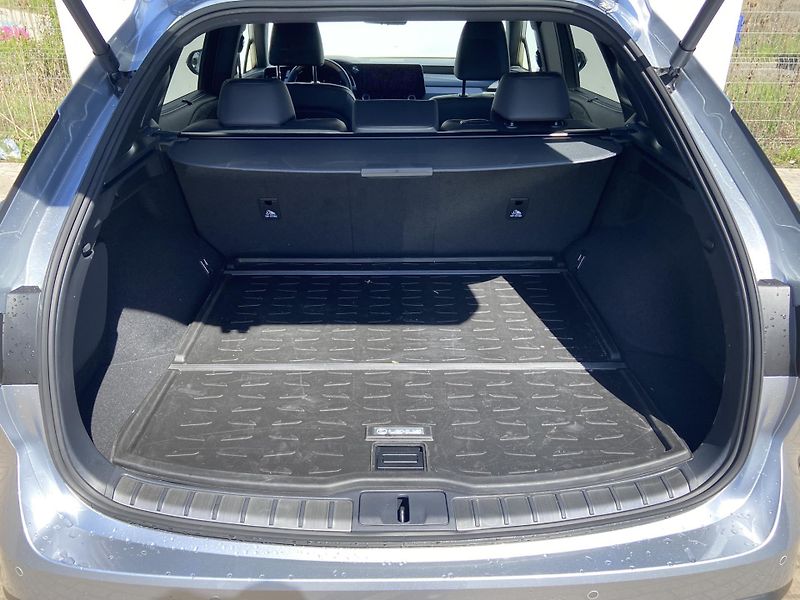 Lexus RX 350h 2.5 HSD e-CVT AWD Luxury - fotka 12 z 23
