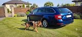 Škoda Octavia 1.4TSI 110 kw servisní histori - náhled 45