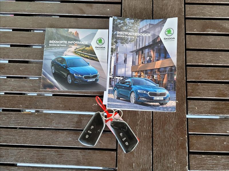Škoda Octavia 1,0 TSI,NAVI,LED,VIRTUAL,KEYLE - fotka 50 z 50