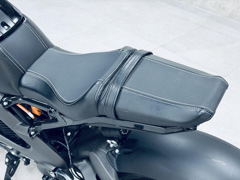 Harley-Davidson Ostatní (2022) ELW*LiveWire - fotka 18 z 19