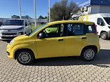 Fiat Panda (2026) Pop 1.0 BSG Hybrid 65k MT6 - náhled 3