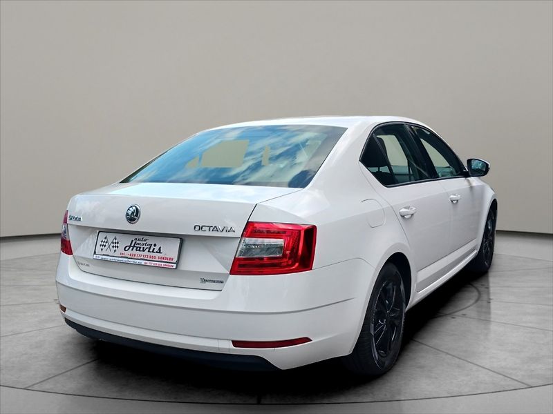 Škoda Octavia 1,6 TDI 85Kw plný servis - fotka 7 z 19
