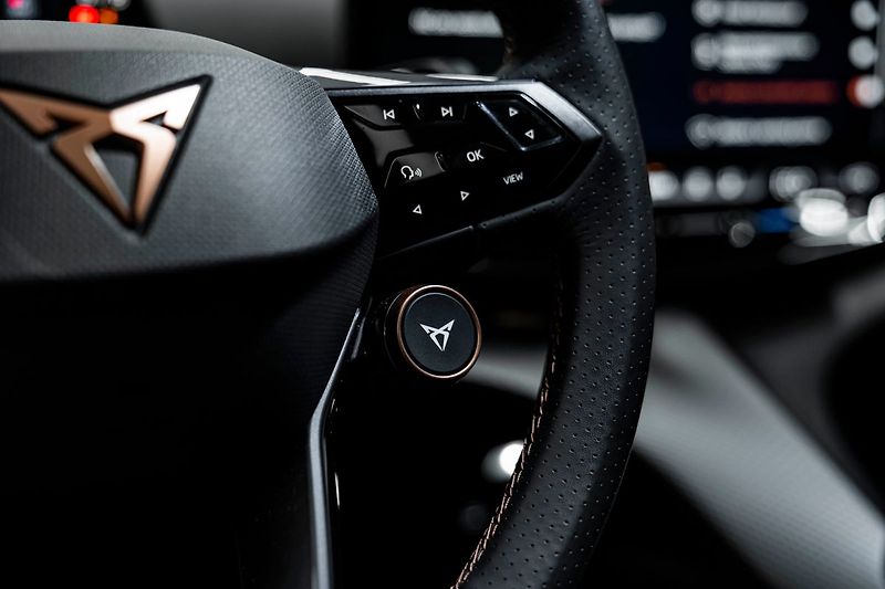 Cupra Tavascan Extreme - fotka 18 z 31
