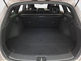 Hyundai i30 (2019) 1.4 T-GDI, Automat, Serv.kniha - náhled 14