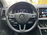 Škoda Karoq Style 1.5TSi DSG KAMERA NAVI - náhled 17