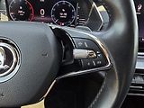 Škoda Octavia 2.0TDI 110KW DSG STYLE+ TZ. ČR - náhled 44