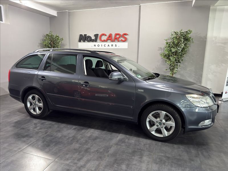 Škoda Octavia 1,4   TSI FAMILY XENON ŠÍBR TZ - fotka 36 z 45