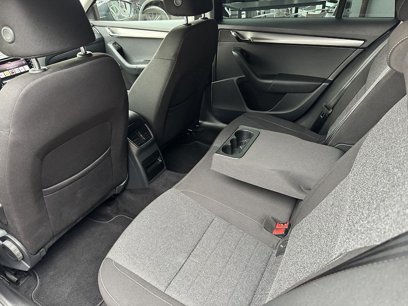 Škoda Octavia (2020) 2.0TDi DSG LED Navi Kamera - fotka 23 z 46