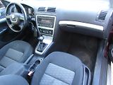 Škoda Octavia (2010) 1.6 TDI 77kW  DSG - náhled 14