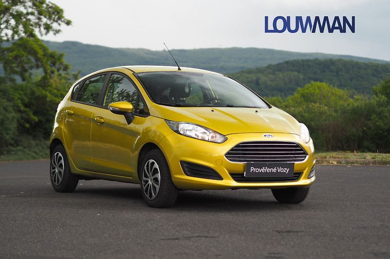 Ford Fiesta - fotka 14 z 17