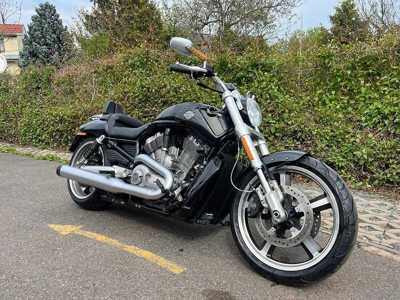 Harley-Davidson VRSCF V-Rod Muscle (2015) - fotka 1 z 13