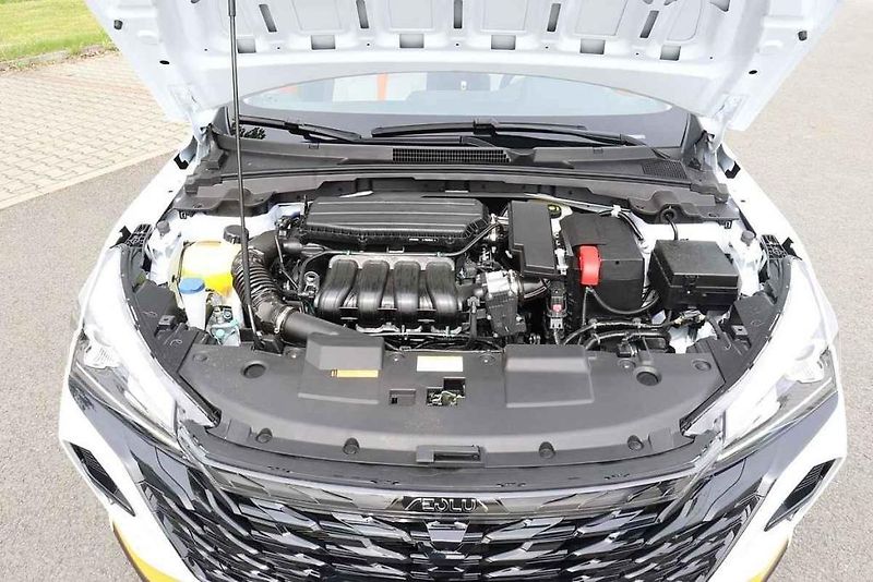Dongfeng Shine.