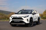Toyota RAV4 AT SELECTION AWD - náhled 1