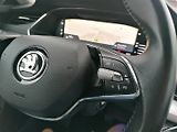 Škoda Octavia (2020) 2.0 TDi  LED,KAMERA,ACC - náhled 22