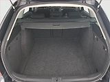 Škoda Octavia (2012) Elegance 1.4 TSI, Tempomat - náhled 14
