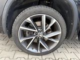 Škoda Kodiaq (2021) SPO 4X4 TD 147/2.0 A7A - náhled 16