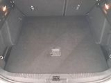 Ford Focus (2020) ST-Line 2.0 EcoBlue, Navi - náhled 14