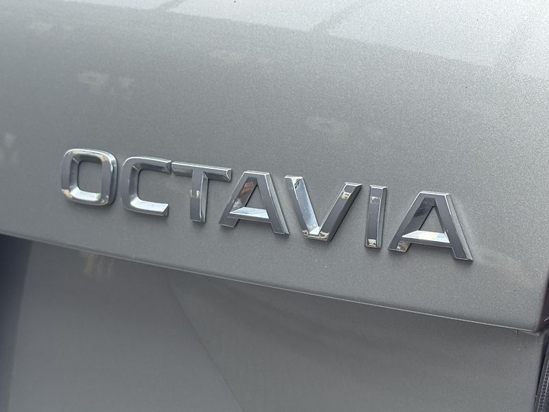 Škoda Octavia (2019) III 1.5TSi DSG Style+, 1.Maj - fotka 45 z 51