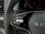 Škoda Karoq (2025) 1.5 TSI 110 kW DSG SportLine - náhled 12