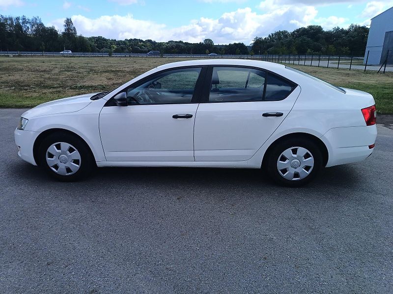 Škoda Octavia III 1.6 TDI - fotka 3 z 40